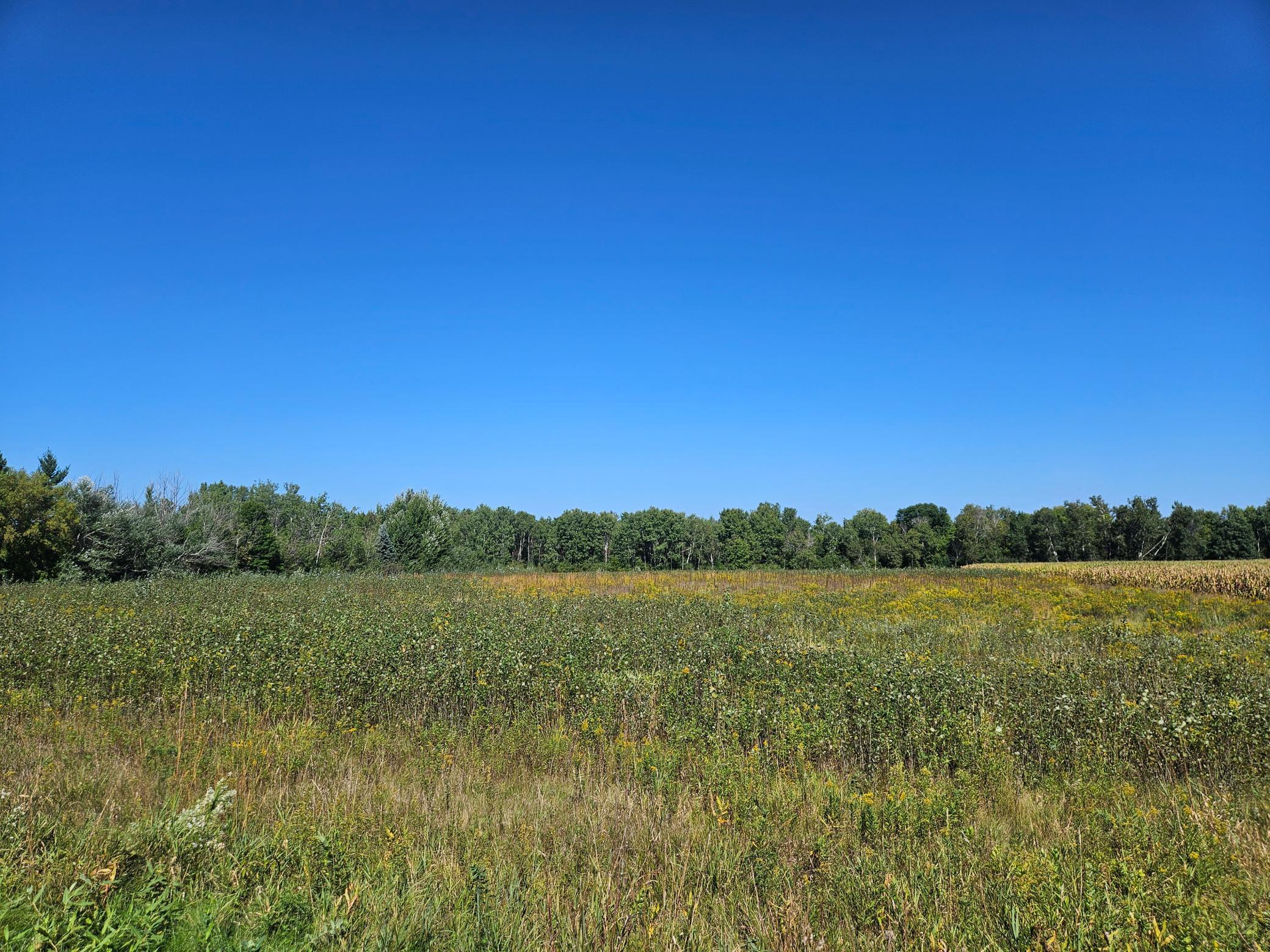 Property photo for xxxx 313th Avenue, Princeton, MN 55371