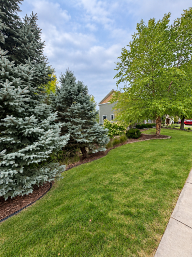 16917 73rd Place N, Maple Grove, MN 55311