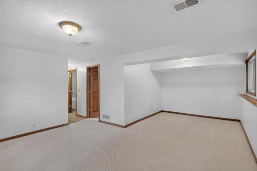 Lower large family room