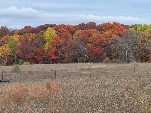 96 ac 150th Street, Verndale, MN 56481