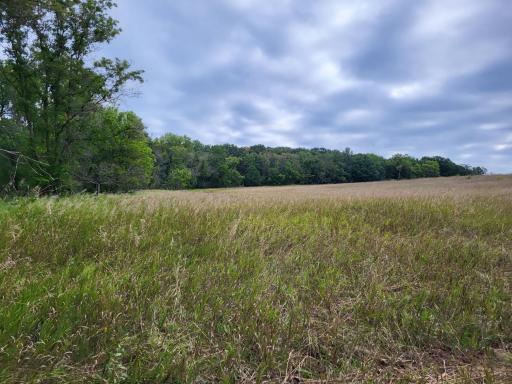 96 ac 150th Street, Verndale, MN 56481