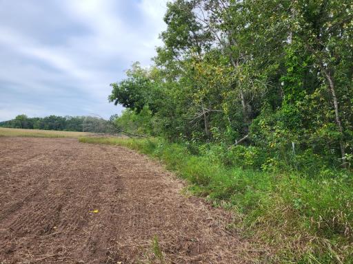 96 ac 150th Street, Verndale, MN 56481