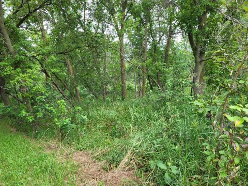 96 ac 150th Street, Verndale, MN 56481