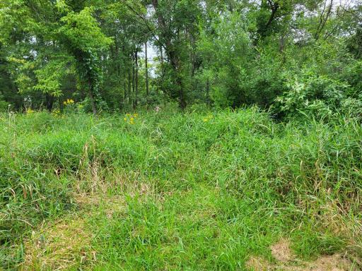 96 ac 150th Street, Verndale, MN 56481