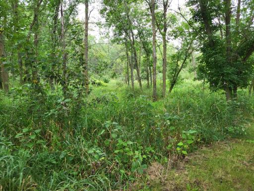96 ac 150th Street, Verndale, MN 56481