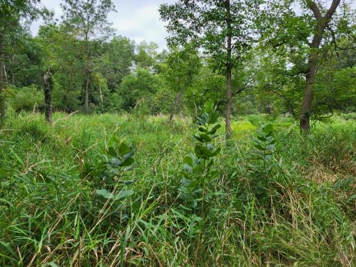 96 ac 150th Street, Verndale, MN 56481