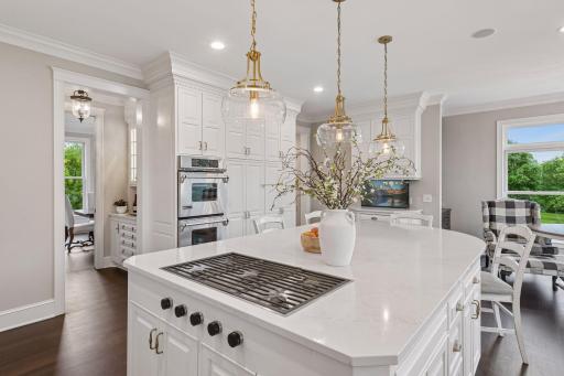 18482 Bearpath Trail, Eden Prairie, MN 55347