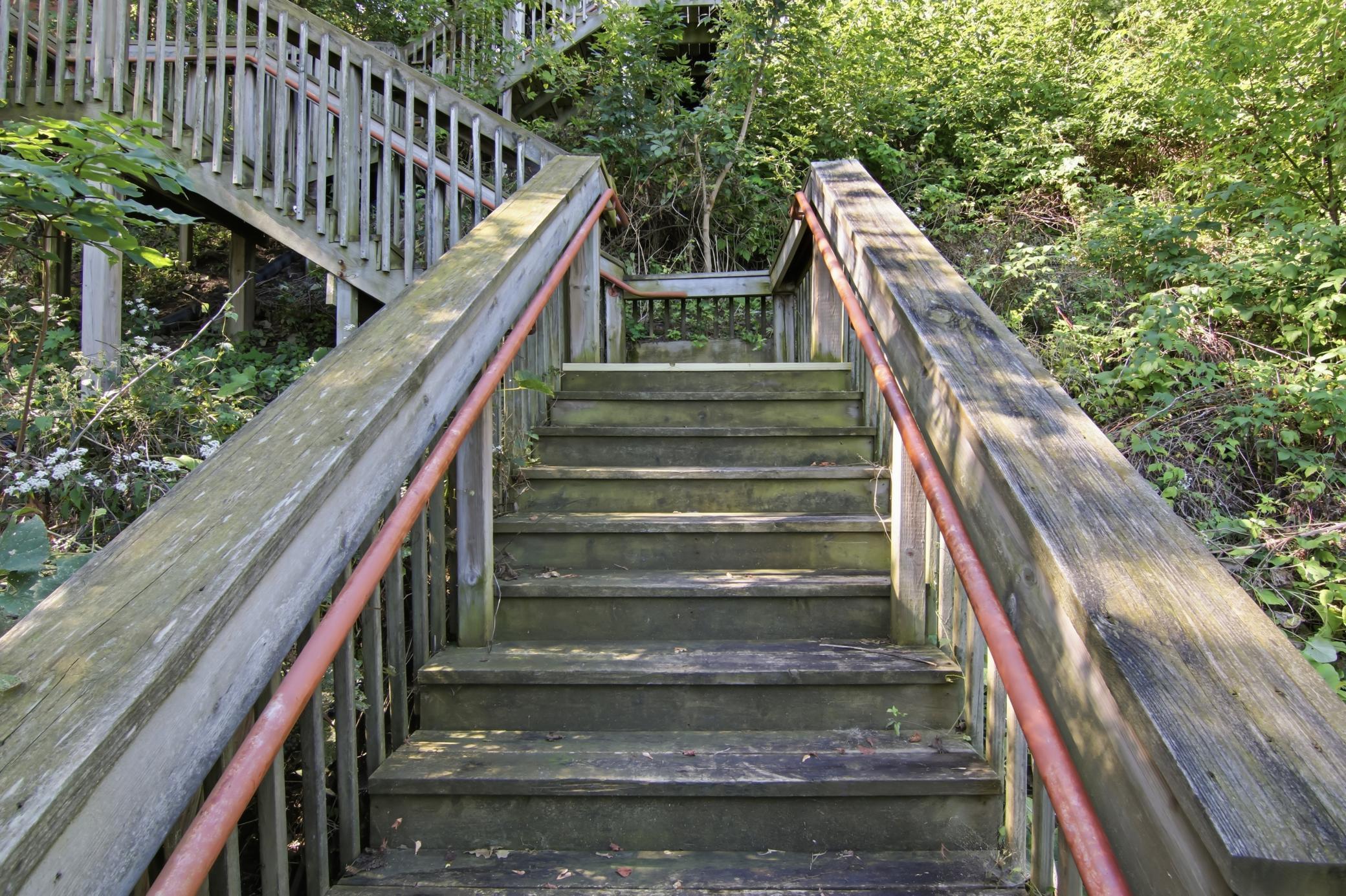 Steps Leading to Lake Menomin!