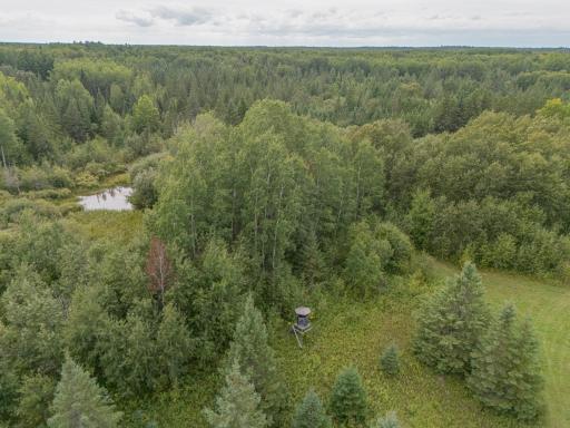 Baudette--11.JPG