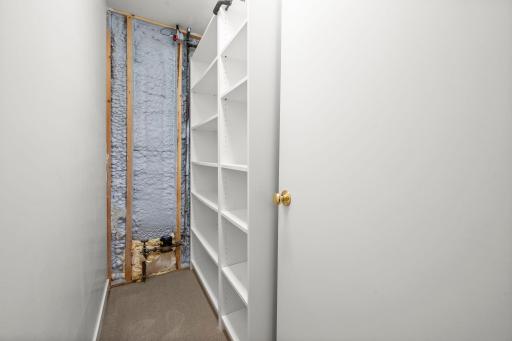 Exra storage room of lower level family room with storage shelving