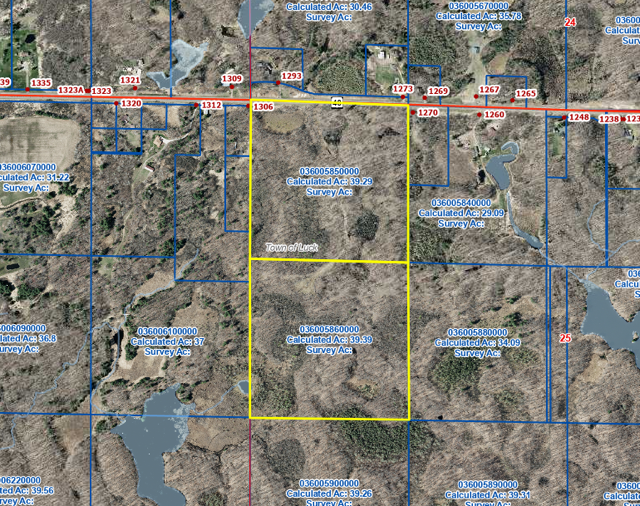 C 9 Ranch LLC Aerial View.png