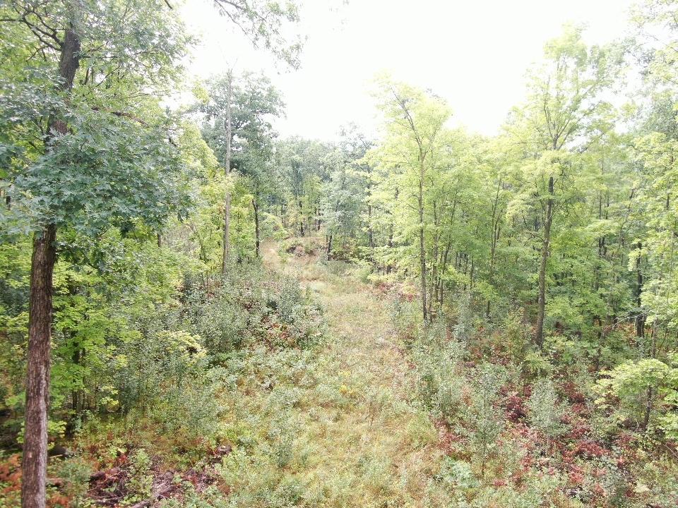 screen_6c03f8710952123d_1788882694000.jpg