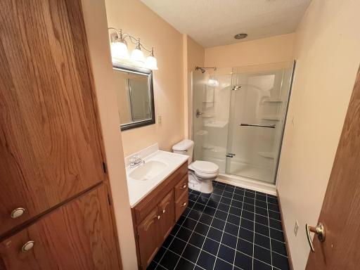Lower level bathroom