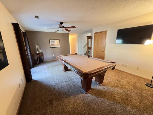 Lower level family room (pool table will stay if buyer wants).