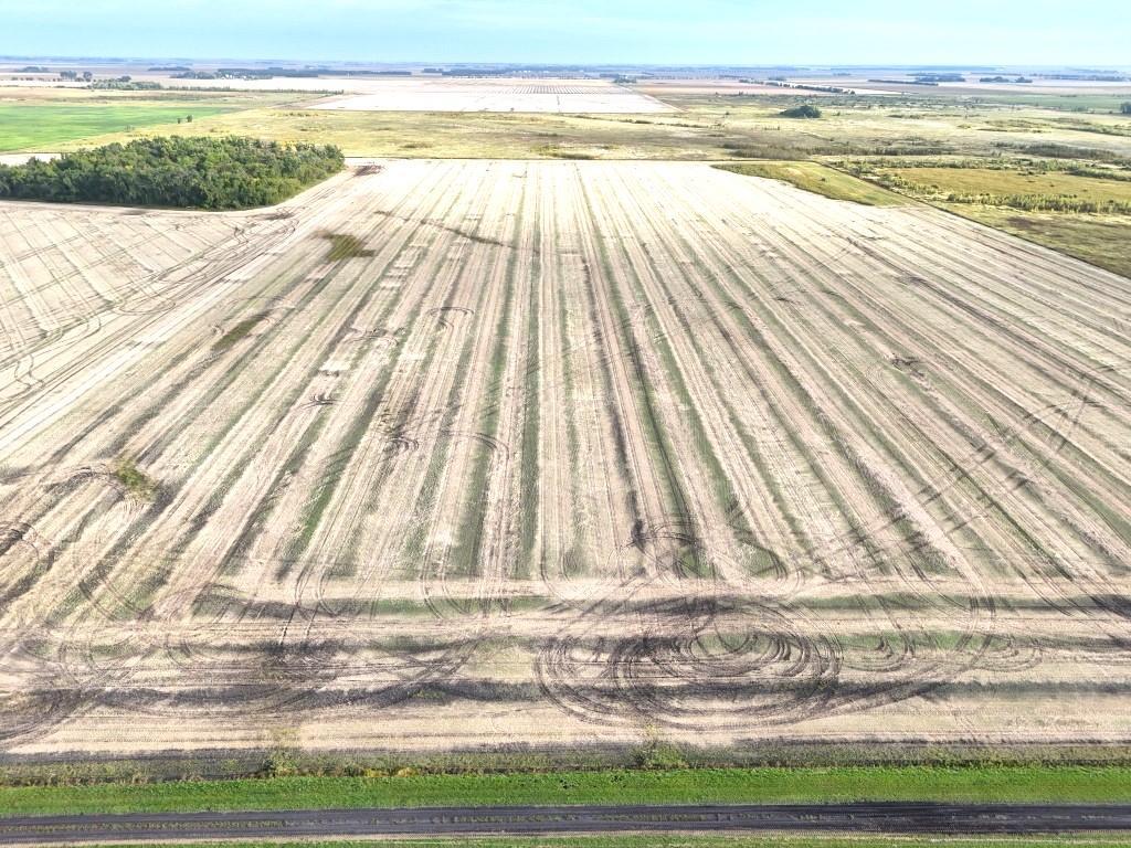 Property photo for TBD 108 Street NE, Neche, ND 58265