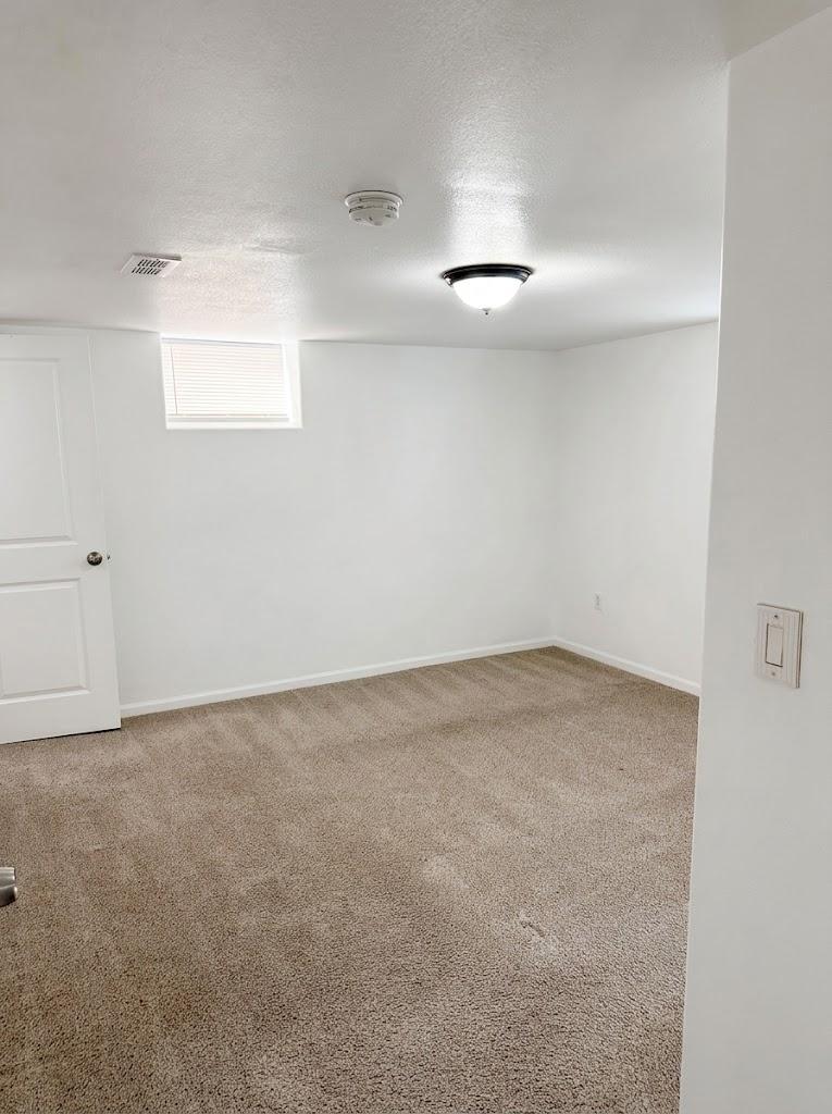 Lower Level Bedroom
