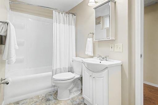 Lower level full bathroom