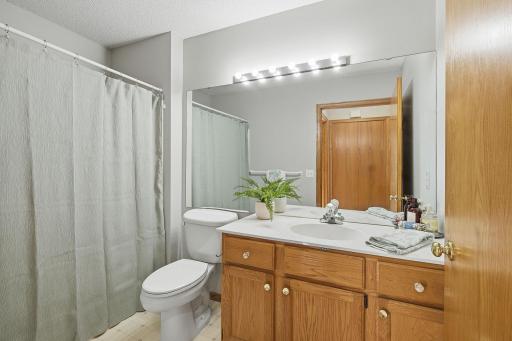 29-web-or-mls-6850_Jenny_Ln_Woodbury_MN_4188.jpg