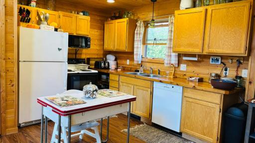 39446 Old Backboard Road, Laporte, MN 56461