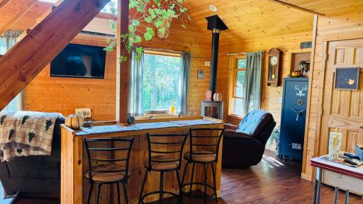 39446 Old Backboard Road, Laporte, MN 56461