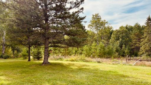39446 Old Backboard Road, Laporte, MN 56461