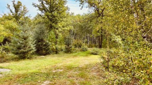 39446 Old Backboard Road, Laporte, MN 56461