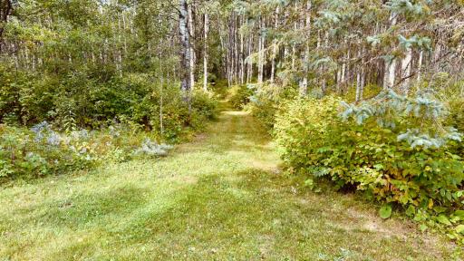 39446 Old Backboard Road, Laporte, MN 56461