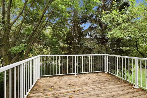397 Campfire Curve, Chaska, MN 55318