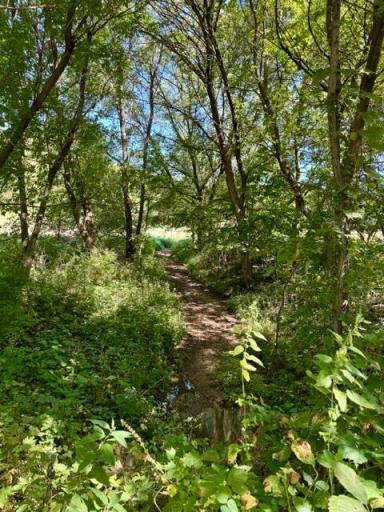 TBD Westbay Lane, Waterville, MN 56096