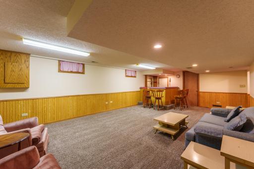 327 Pine Ave, Vermillion-51.jpg