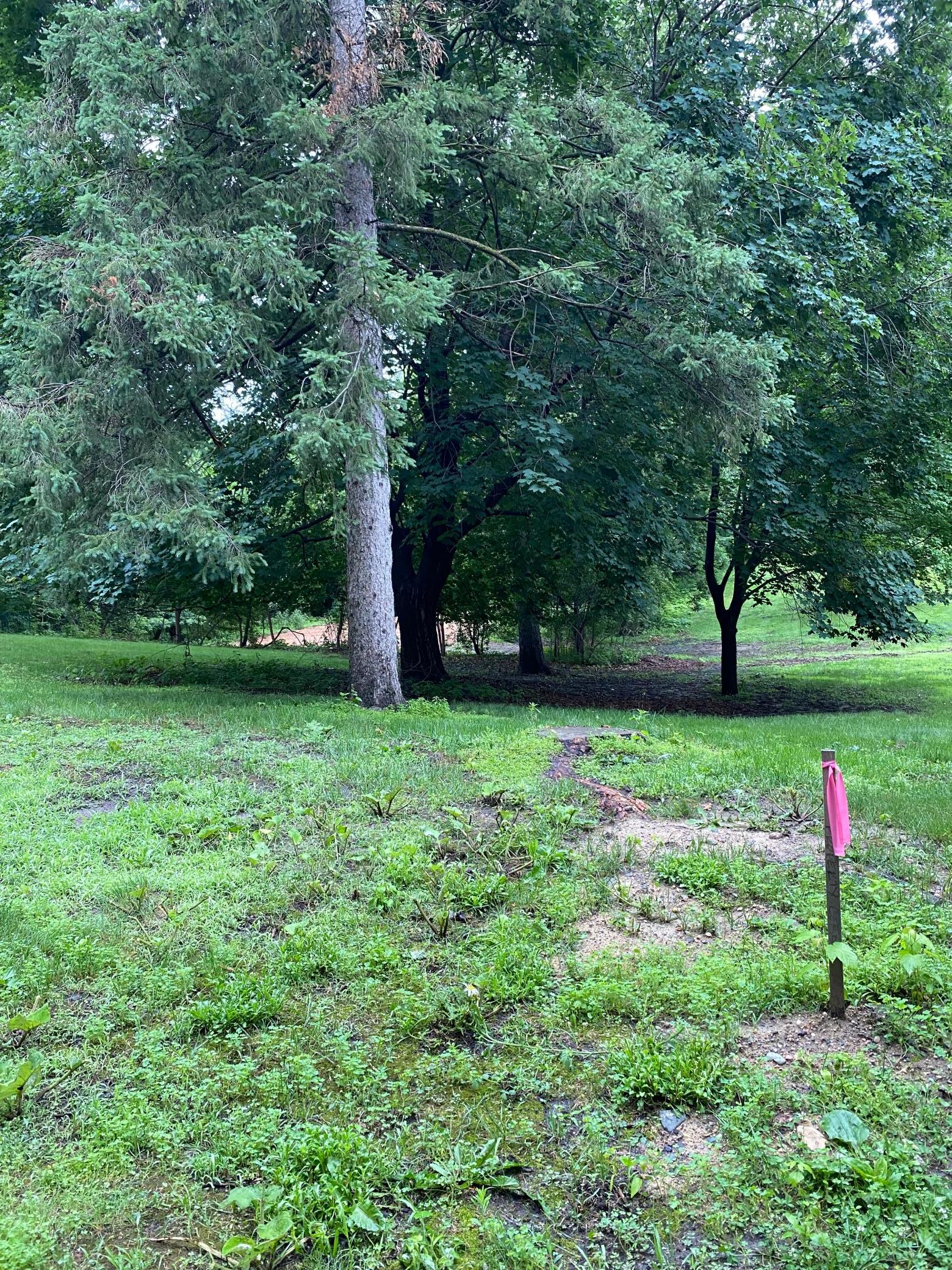Lot 2 -3.jpg