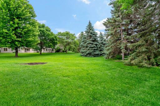 10-web-or-mls-8541 Inverness Ln N Brooklyn Park MN_0011.jpg
