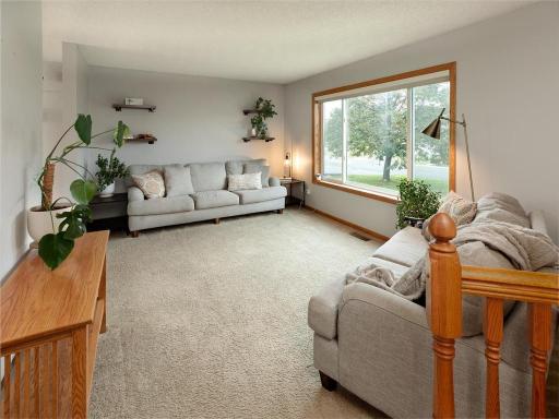 456 Braeburn Drive, Shakopee, MN 55379