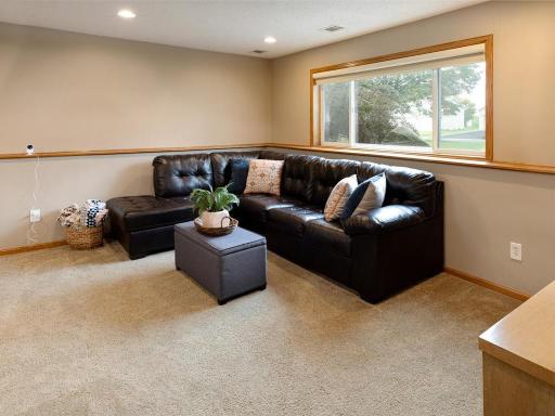 456 Braeburn Drive, Shakopee, MN 55379