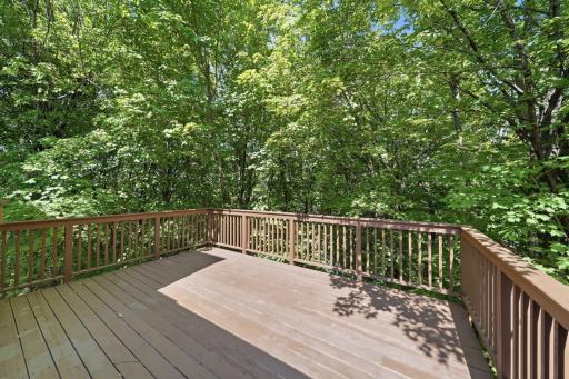 1525 6th Avenue N, Orono, MN 55356