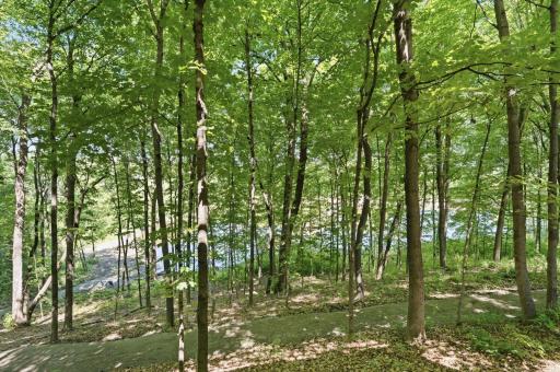 1525 6th Avenue N, Orono, MN 55356