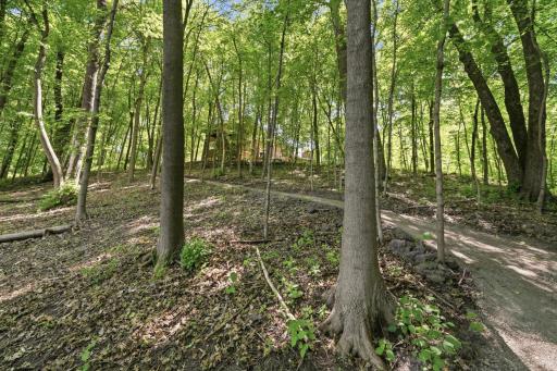 1525 6th Avenue N, Orono, MN 55356