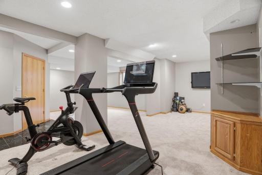 This flexible lower level space is wired and ready for a mounted screen, recessed lighting and an angled ceiling framing a room built for movie nights.