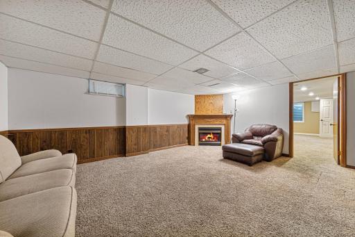 399 E Hawthorne Street, Albert Lea, MN 56007