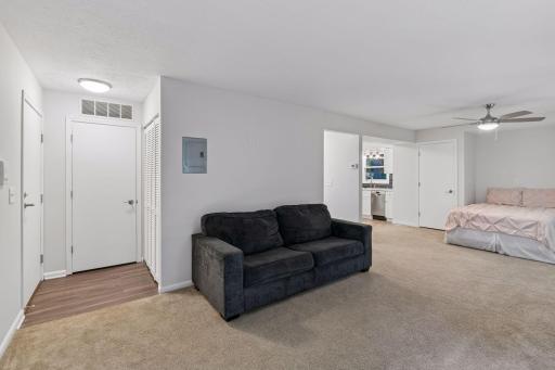 Entrance has closet and mechanical room access next to the living room