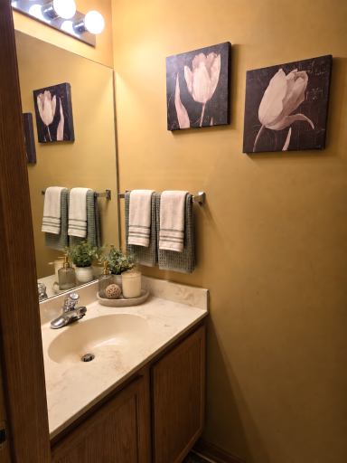 Main floor bathroom