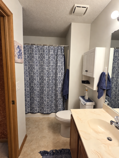 Upper level bathroom