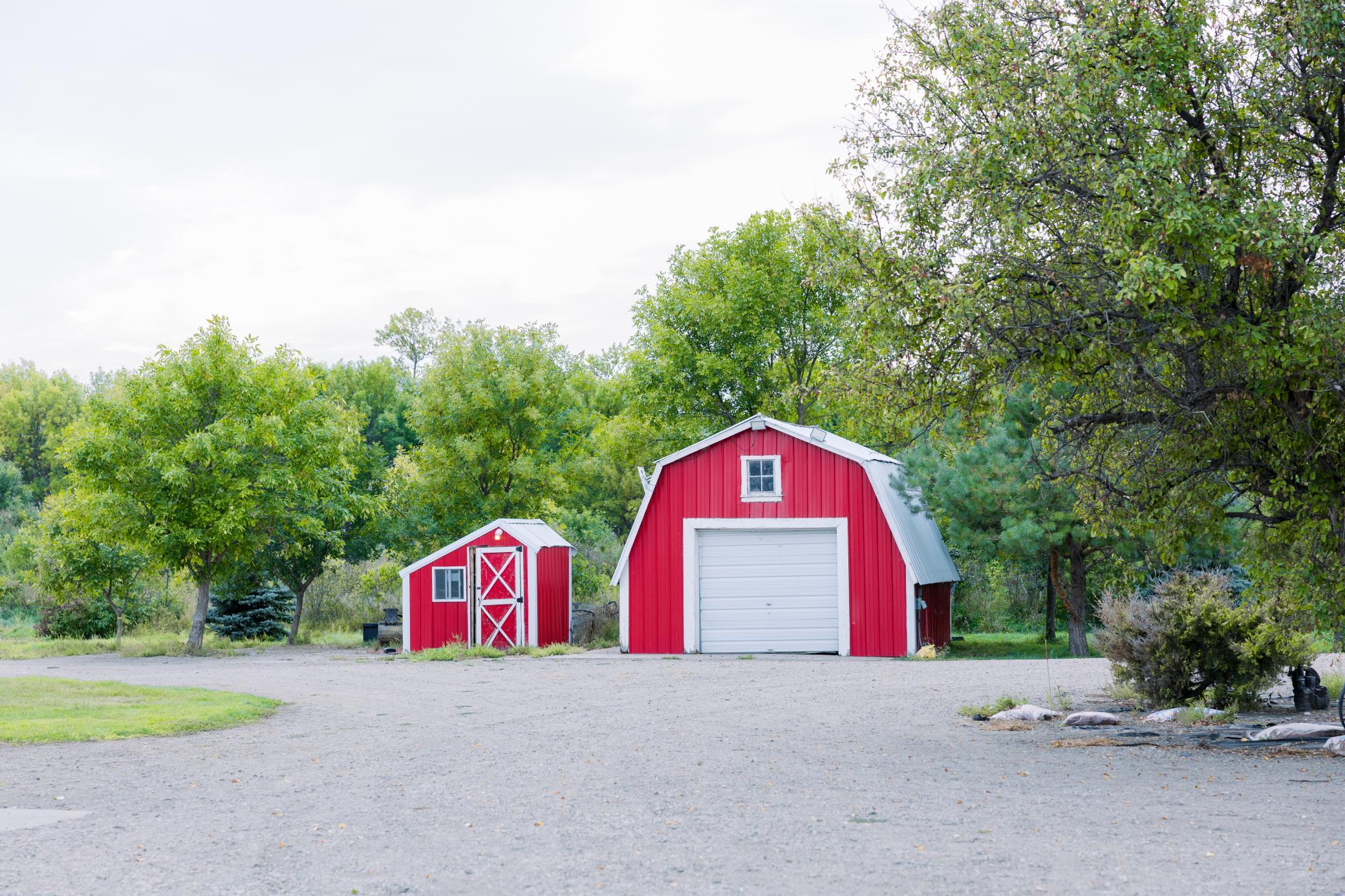 Chicken coop & steel siding shed