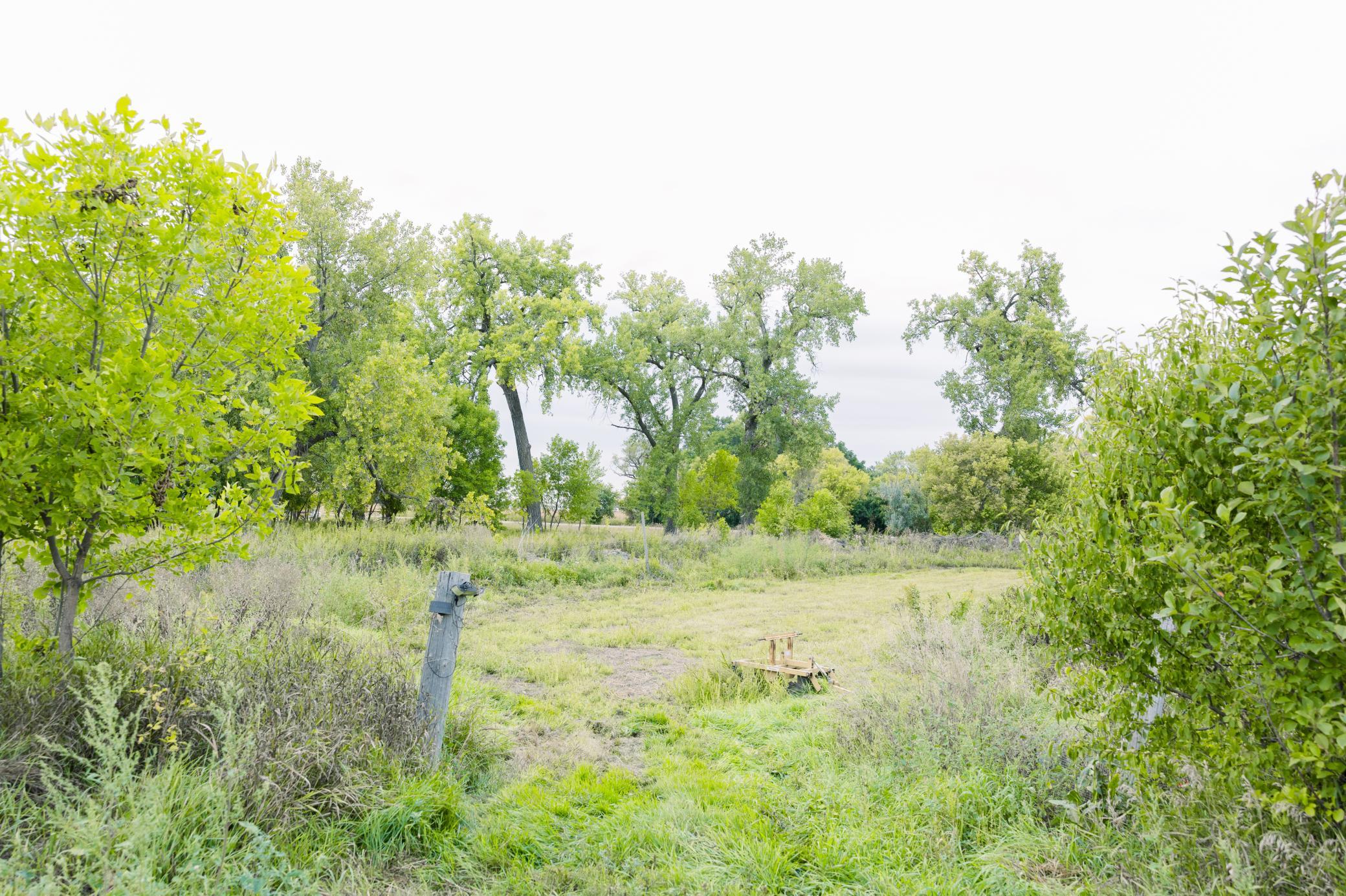 Land