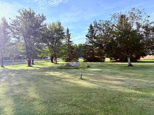 Front yard