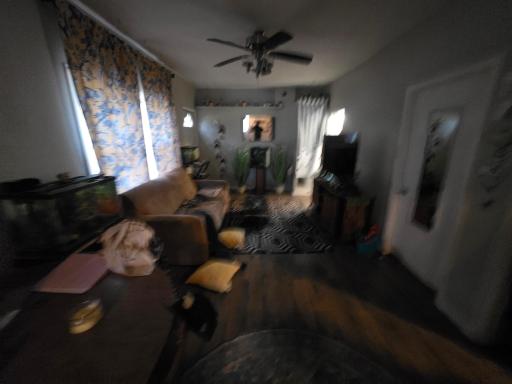 Apartment 2