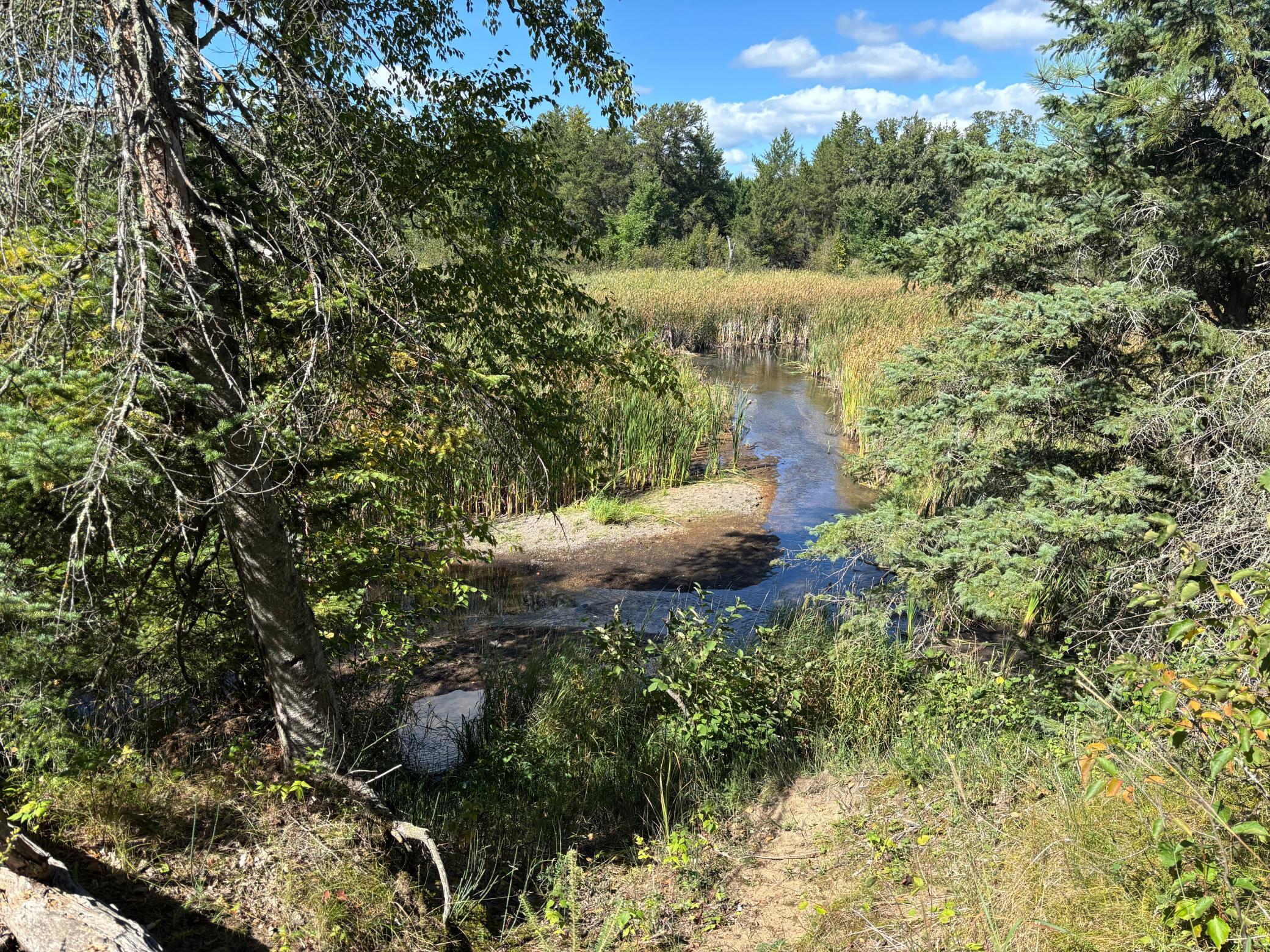 Camp Site