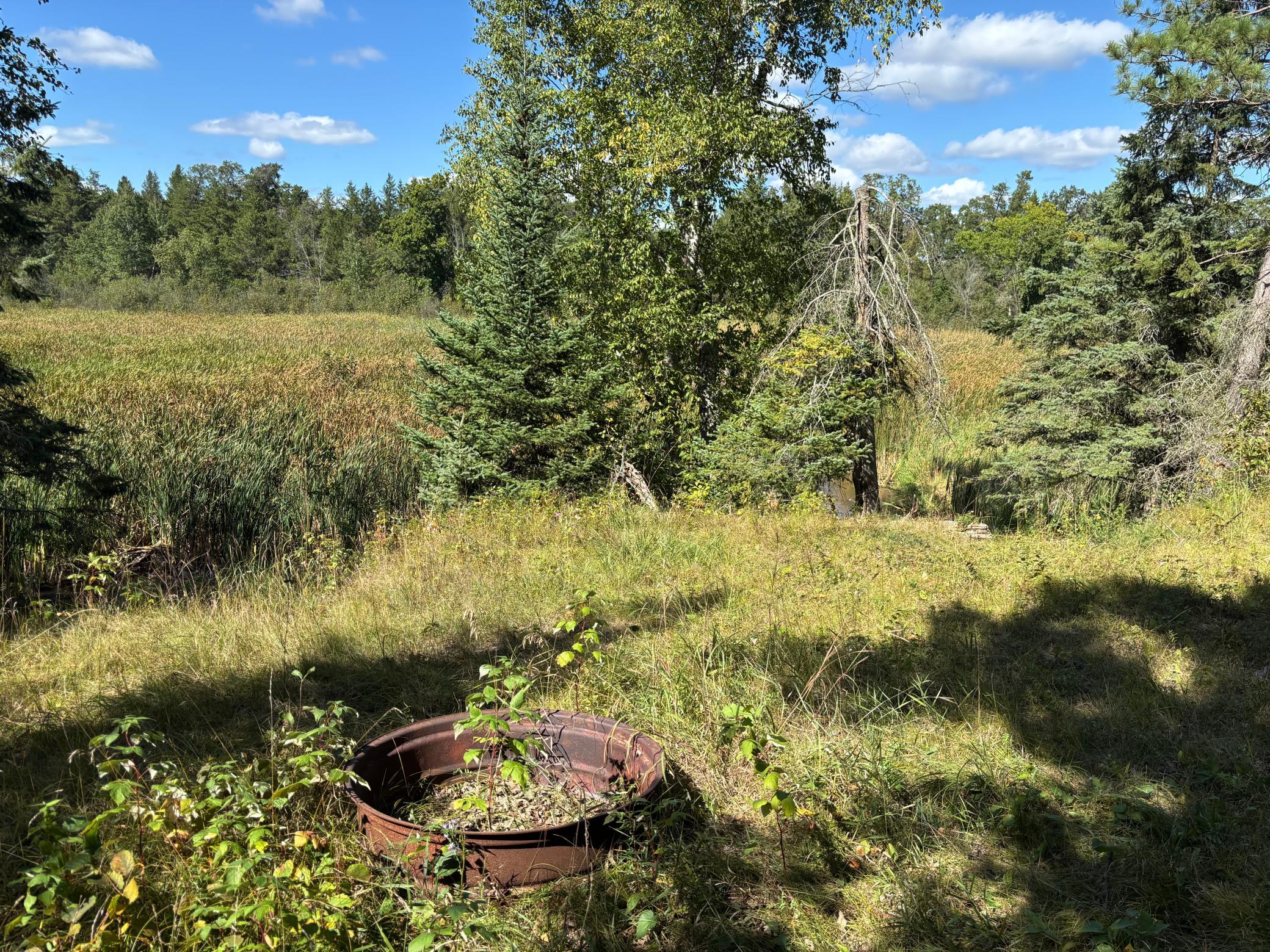 Camp Site