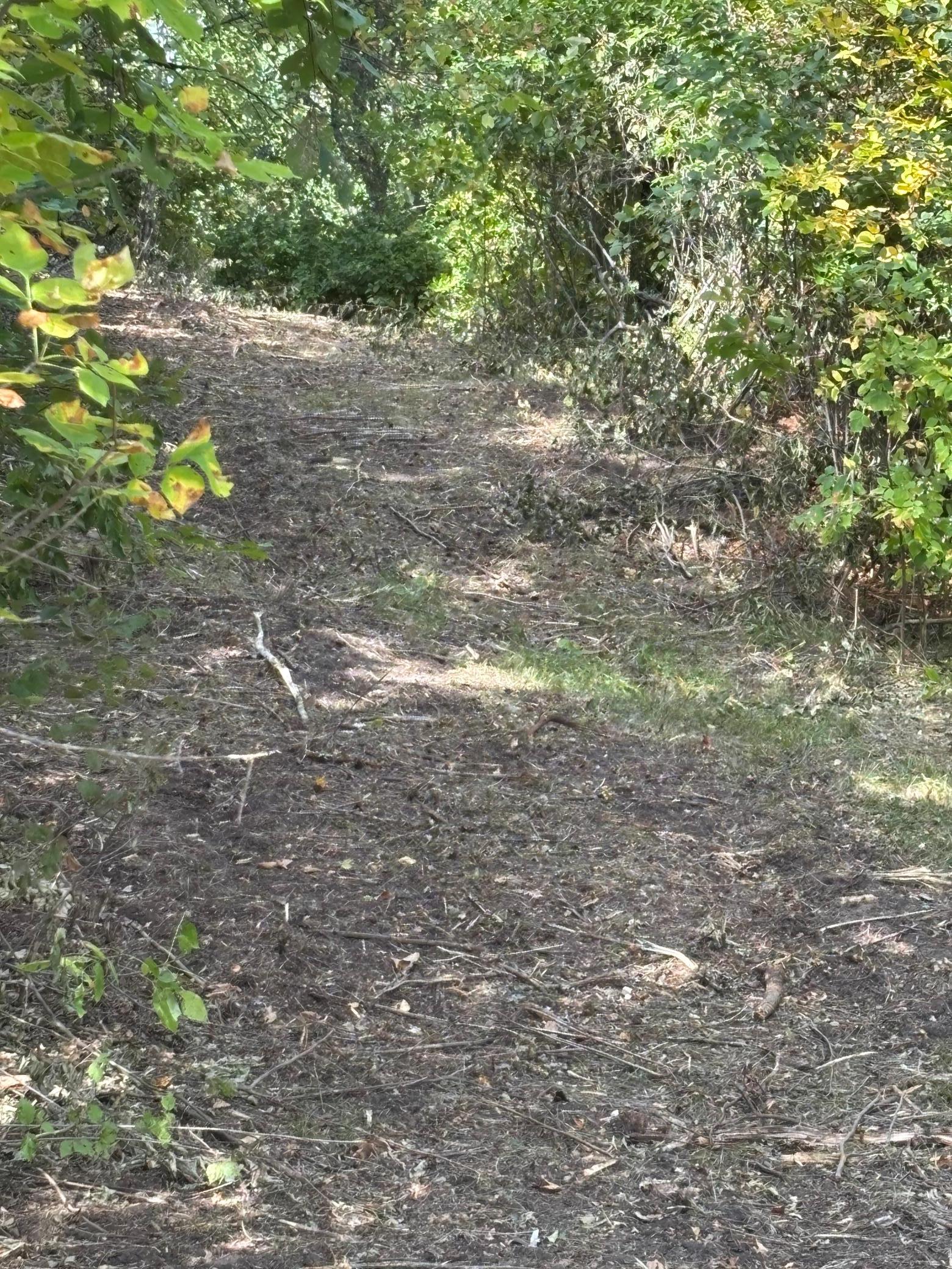 Path To Duck Blind