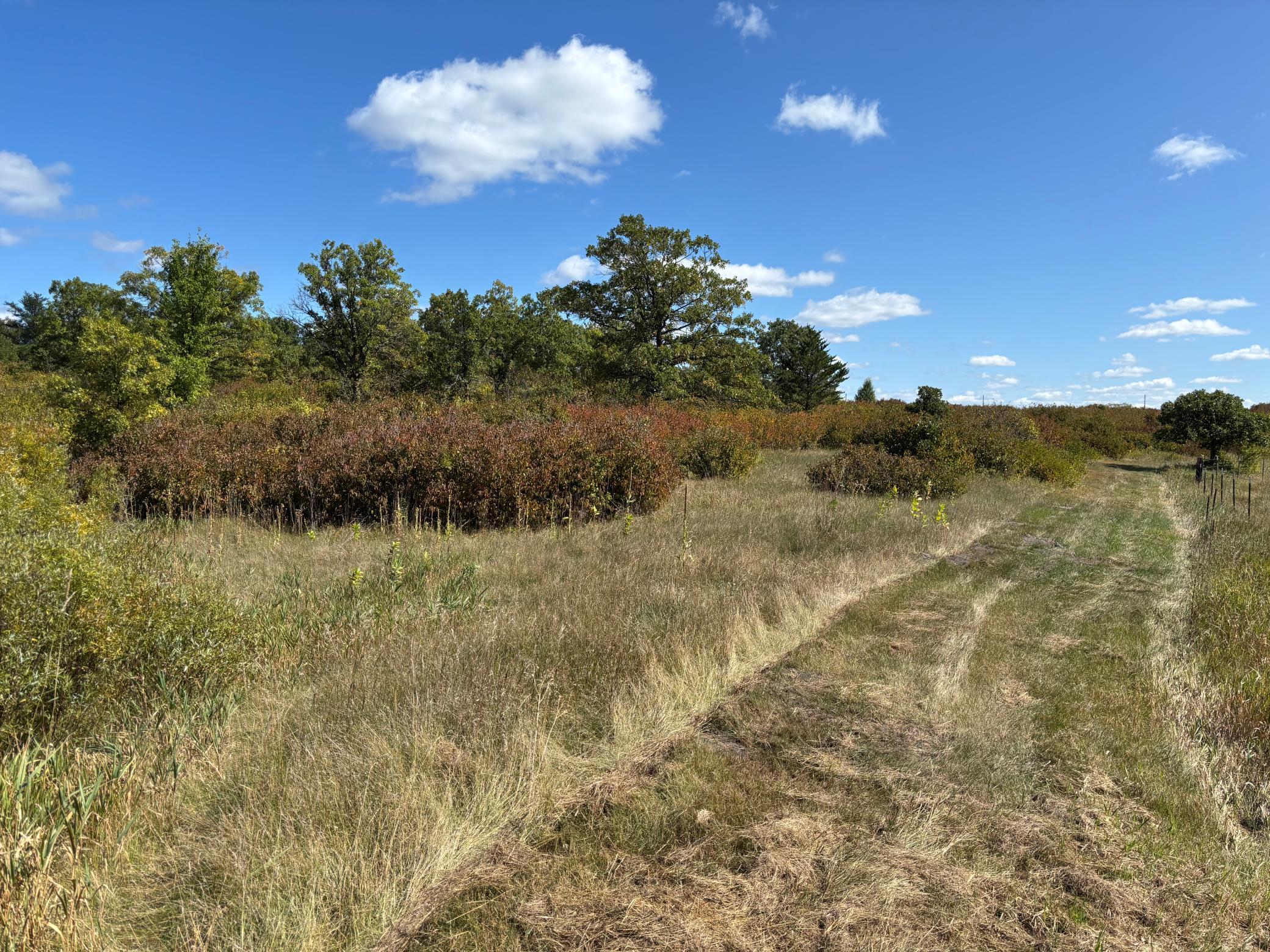 Back Of Property